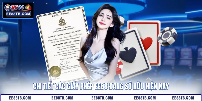 Chi tiết cách kiểm tra giấy phép EE88 hiện nay