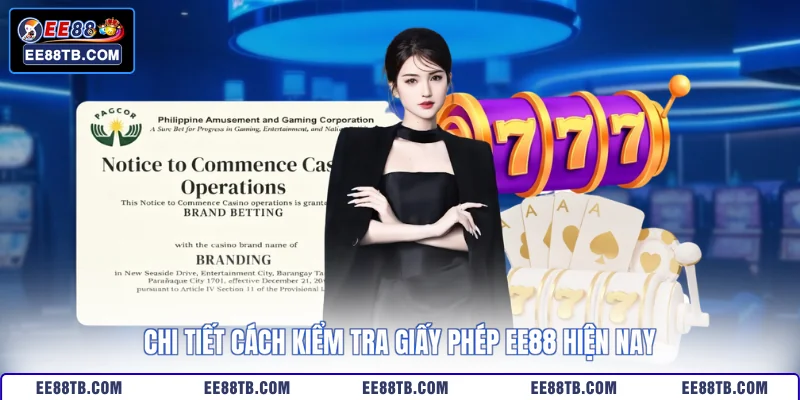 Chi tiết các giấy phép EE88 đang sở hữu hiện nay