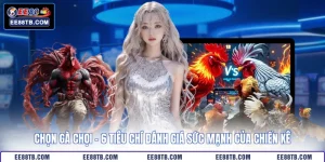 Chọn Gà Chọi - 6 Tiêu Chí Đánh Giá Sức Mạnh Của Chiến Kê