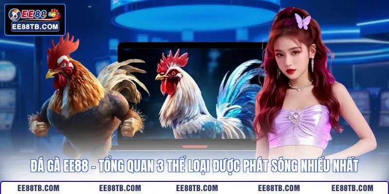 Đá Gà EE88 - Tổng Quan 3 Thể Loại Được Phát Sóng Nhiều Nhất