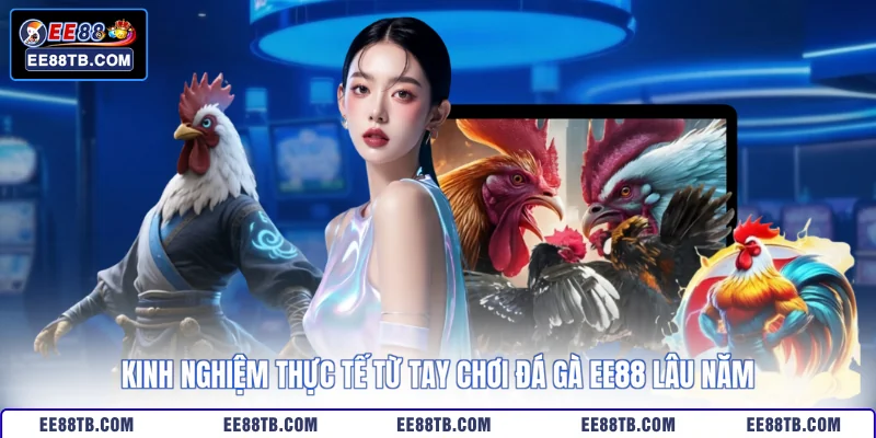 Kinh nghiệm thực tế từ tay chơi đá gà EE88 lâu năm